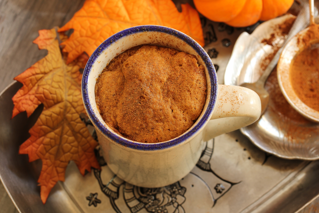 Diabetes Friendly Pumpkin Mug Cake