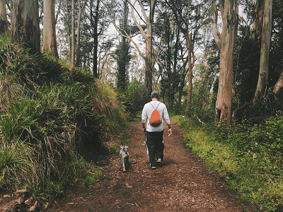 Adam Brown walking dog on trail