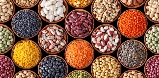 Different types of beans